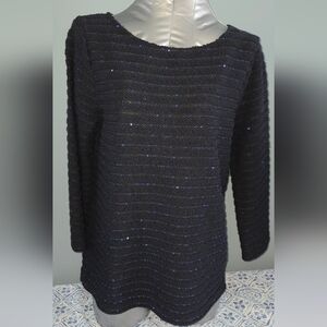 Banana Republic Dark Blue Sequin Boatneck Sweater Size Small